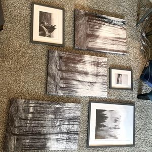 Apt decor rustic theme